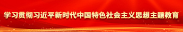 黑妹自慰出水学习贯彻习近平新时代中国特色社会主义思想主题教育